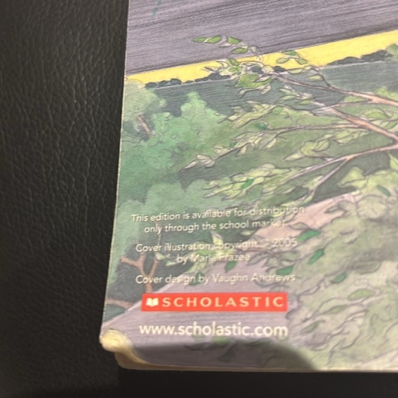 Each Little Bird That Sings by Deborah Wiles - Picture 7 of 8